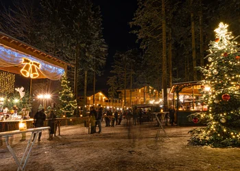 Waldweihnacht in der WaldEntdeckerWelt